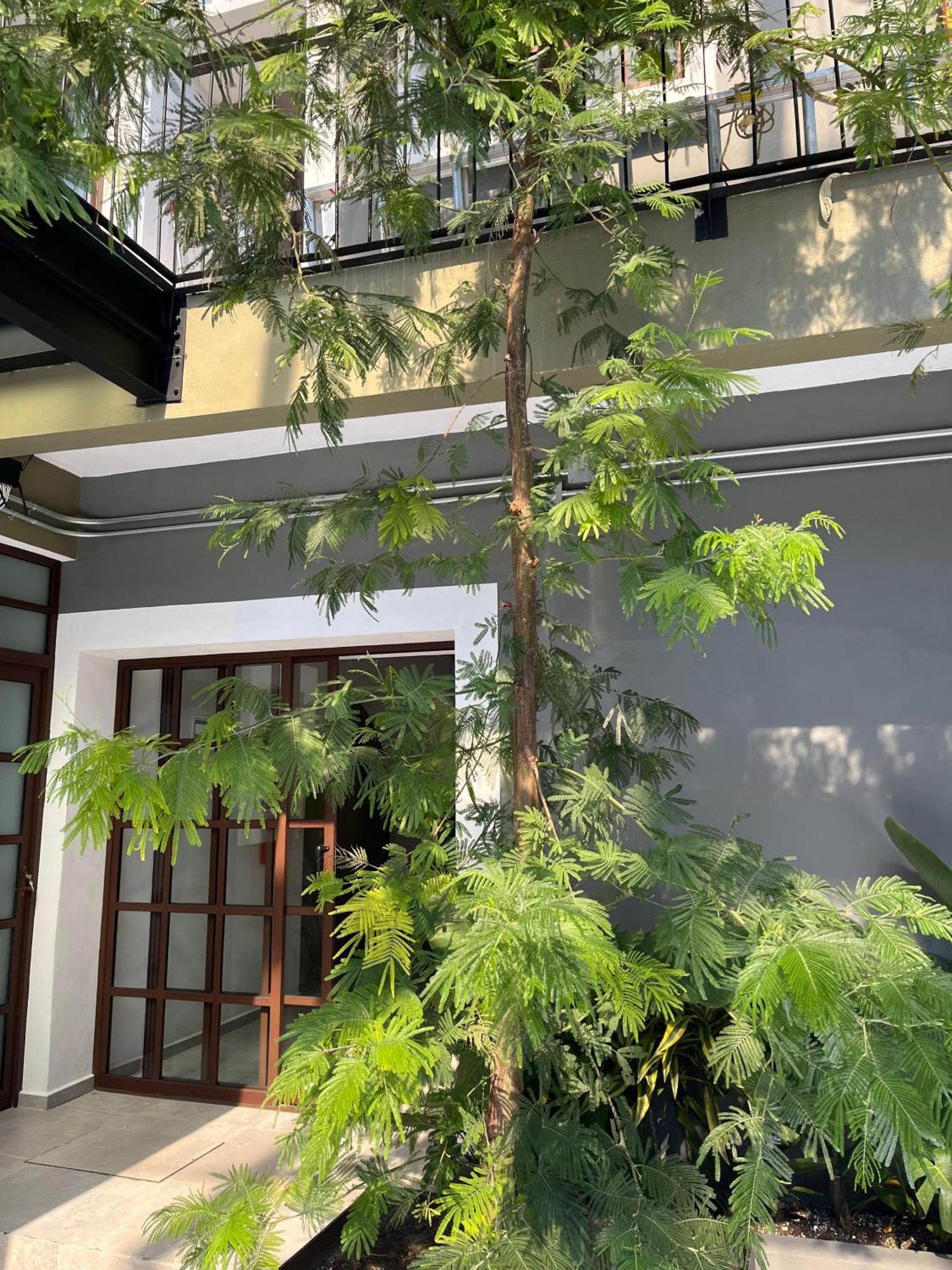 Eonia Hotel Atlixco Buitenkant foto
